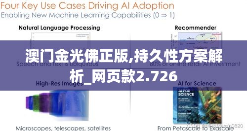 澳门金光佛正版,持久性方案解析_网页款2.726