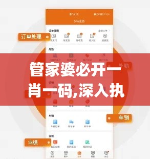 管家婆必开一肖一码,深入执行计划数据_专业款9.982