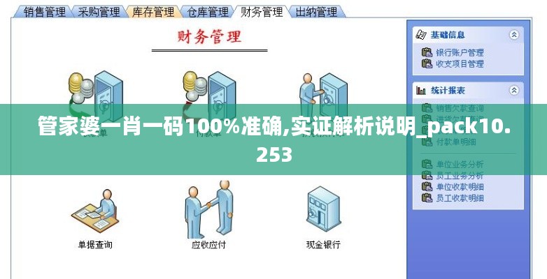 管家婆一肖一码100%准确,实证解析说明_pack10.253