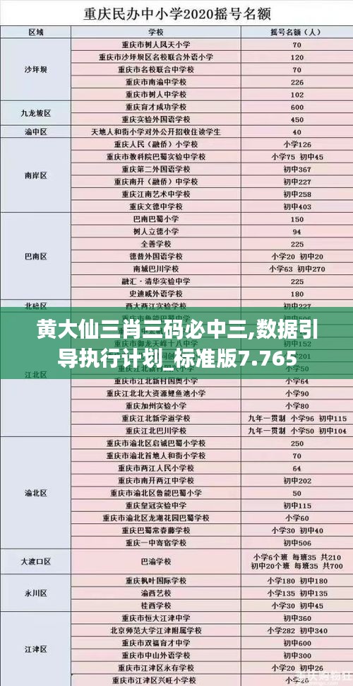 黄大仙三肖三码必中三,数据引导执行计划_标准版7.765