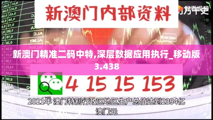 新澳门精准二码中特,深层数据应用执行_移动版3.438