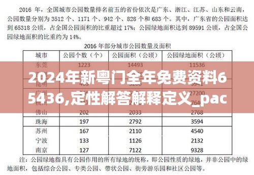 2024年新粤门全年免费资料65436,定性解答解释定义_pack2.354