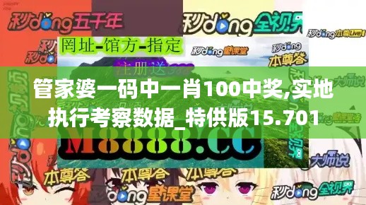 管家婆一码中一肖100中奖,实地执行考察数据_特供版15.701