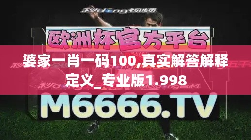 婆家一肖一码100,真实解答解释定义_专业版1.998