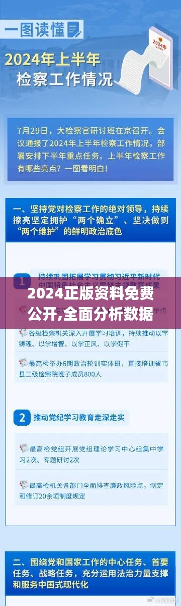 2024正版资料免费公开,全面分析数据执行_X4.703