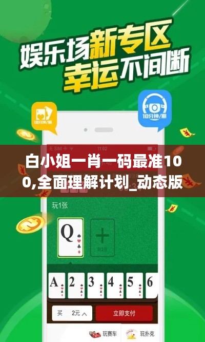 白小姐一肖一码最准100,全面理解计划_动态版1.496