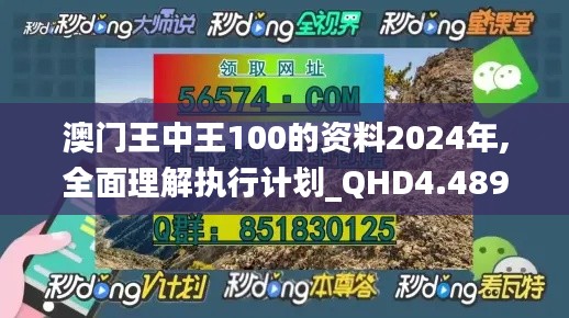 澳门王中王100的资料2024年,全面理解执行计划_QHD4.489