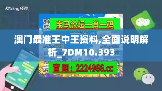 澳门最准王中王资料,全面说明解析_7DM10.393