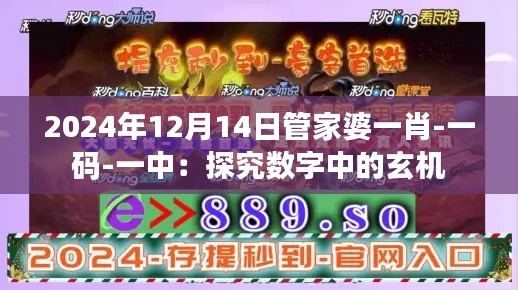 2024年12月14日管家婆一肖-一码-一中：探究数字中的玄机