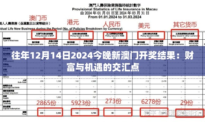 往年12月14日2024今晚新澳门开奖结果：财富与机遇的交汇点