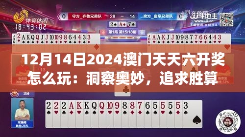 12月14日2024澳门天天六开奖怎么玩：洞察奥妙，追求胜算