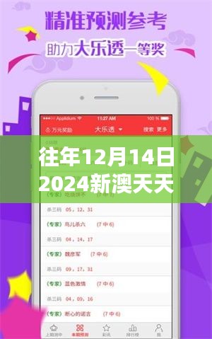 往年12月14日2024新澳天天彩免费资料大全查询：打开幸运之门的钥匙