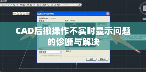 CAD后撤操作不实时显示问题的诊断与解决