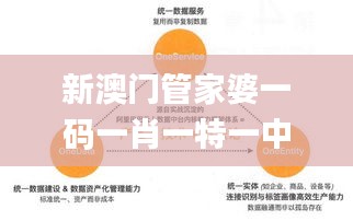 新澳门管家婆一码一肖一特一中,模型解答解释落实_LE版7.112