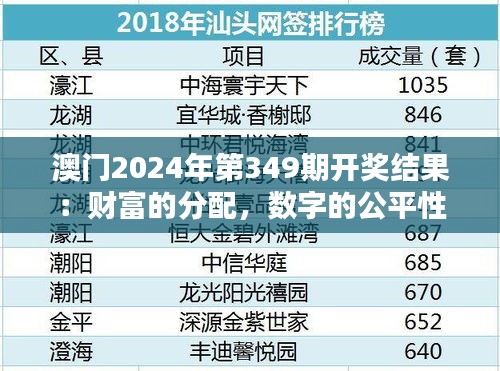 澳门2024年第349期开奖结果：财富的分配，数字的公平性