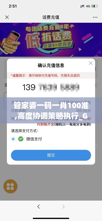 管家婆一码一肖100准,高度协调策略执行_Gold9.935