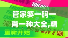 管家婆一码一肖一种大全,精选解读100%精准_AP17.774