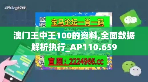 澳门王中王100的资料,全面数据解析执行_AP110.659