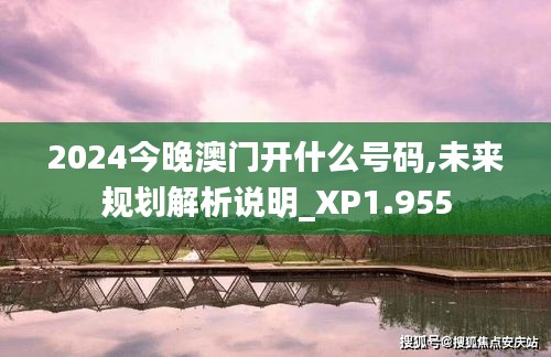 2024今晚澳门开什么号码,未来规划解析说明_XP1.955