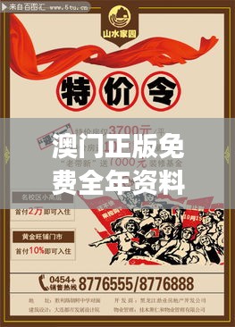 澳门正版免费全年资料大全旅游团,权威诠释推进方式_9DM4.952