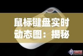 鼠标键盘实时动态图：揭秘现代办公的视觉辅助利器