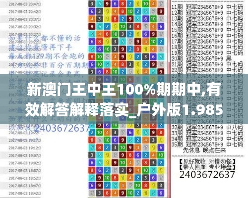 新澳门王中王100%期期中,有效解答解释落实_户外版1.985