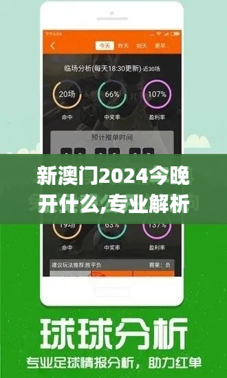 新澳门2024今晚开什么,专业解析说明_扩展版10.948