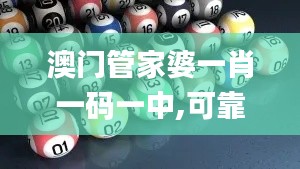 澳门管家婆一肖一码一中,可靠执行计划_精装款6.582