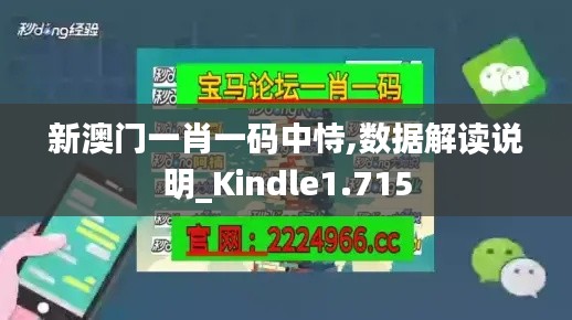 新澳门一肖一码中恃,数据解读说明_Kindle1.715