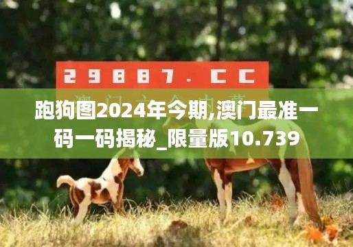 跑狗图2024年今期,澳门最准一码一码揭秘_限量版10.739