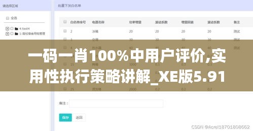 一码一肖100%中用户评价,实用性执行策略讲解_XE版5.919