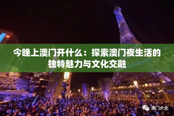 今晚上澳门开什么：探索澳门夜生活的独特魅力与文化交融