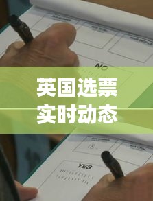 英国选票实时动态查询：揭秘现代投票系统的透明化之路