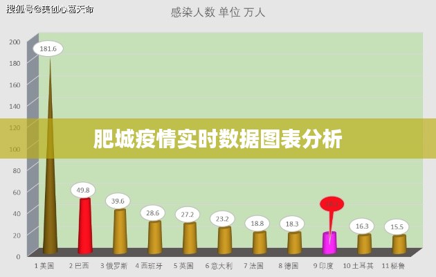 肥城疫情实时数据图表分析