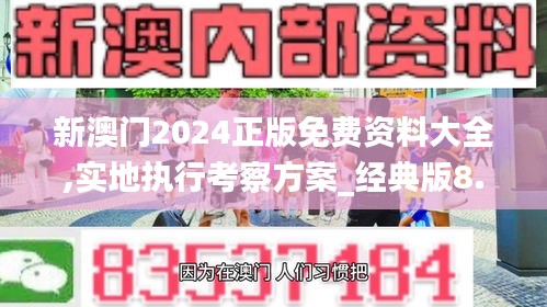 新澳门2024正版免费资料大全,实地执行考察方案_经典版8.333