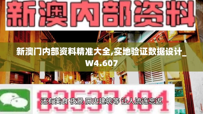 新澳门内部资料精准大全,实地验证数据设计_W4.607