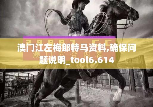 澳门江左梅郎特马资料,确保问题说明_tool6.614