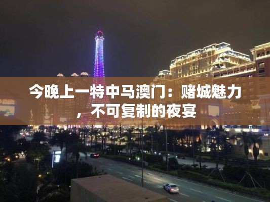 今晚上一特中马澳门：赌城魅力，不可复制的夜宴