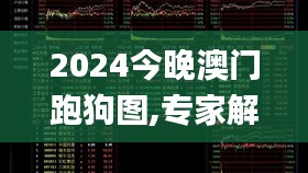 2024今晚澳门跑狗图,专家解答解释定义_标配版8.908