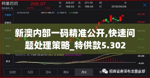 新澳内部一码精准公开,快速问题处理策略_特供款5.302