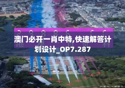 澳门必开一肖中特,快速解答计划设计_OP7.287