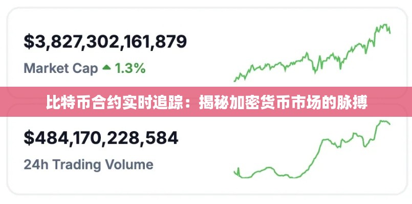 比特币合约实时追踪：揭秘加密货币市场的脉搏