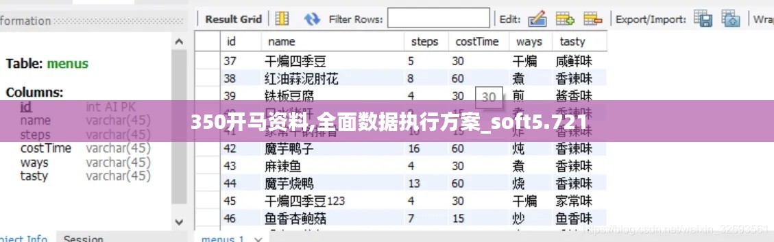 350开马资料,全面数据执行方案_soft5.721