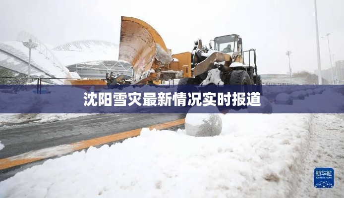 沈阳雪灾最新情况实时报道