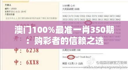 澳门100%最准一肖350期：购彩者的信赖之选