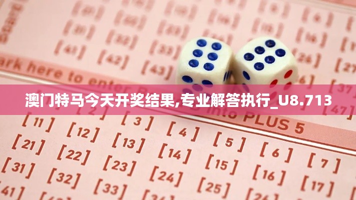 澳门特马今天开奖结果,专业解答执行_U8.713