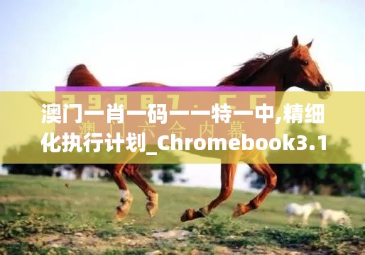 澳门一肖一码一一特一中,精细化执行计划_Chromebook3.100