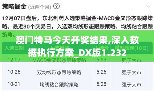 澳门特马今天开奖结果,深入数据执行方案_DX版1.232