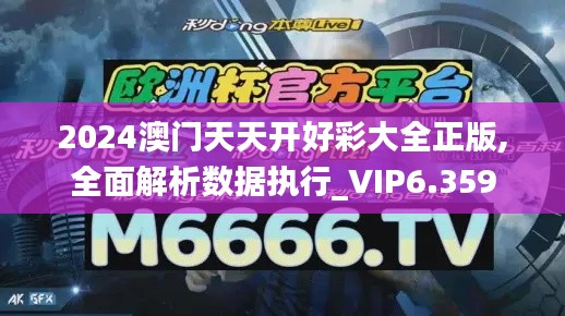 2024澳门天天开好彩大全正版,全面解析数据执行_VIP6.359