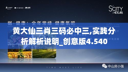 黄大仙三肖三码必中三,实践分析解析说明_创意版4.540